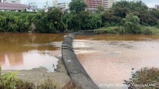 仙台・広瀬川で川の水が赤く染まる 宮城県が原因を調査 [upl. by Kifar]