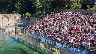 VIDÉO Le ZooParc de Beauval sadapte au pic de fréquentation de lAscension [upl. by Elledoj]