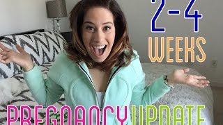 Pregnancy Update Weeks 24 [upl. by Sophronia]