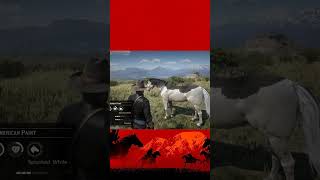 33 Rare Horse in Red Dead Redemption 2 byPlayer7 rdrgameplay rdr2 [upl. by Inot]