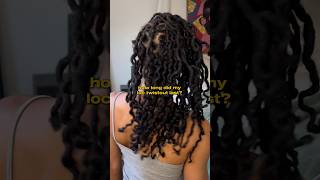 loc curls results loccurls locjourney locs trinoftrades [upl. by Nilrev]