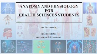 ANATOMICAL POSITION ANATOMICAL PLANES DIRECTIONAL TERMS IN ANATOMY ABDOMINAL QUADRANTS amp REGIONS [upl. by Denis927]