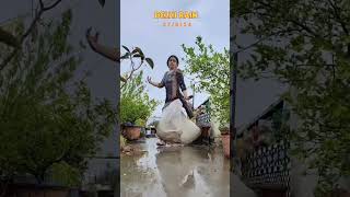 Ithlati  Javed Ali  Dance Cover [upl. by Tisbee29]