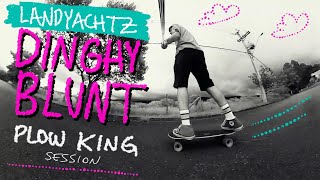 Landyachtz Dinghy Blunt Pinecone Plow King session  Kodak PIXPRO SP360 video recording [upl. by Namruht568]