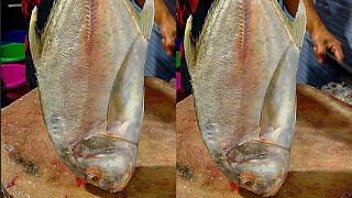 വറ്റമീൻ thenga paara Para Malabar Trevally sagar fish hoodi Bangalore belathur Kadugodi fish [upl. by Essy]