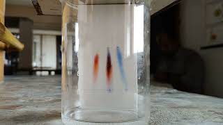 Chromatography Technique Timelapse [upl. by Nodnil]