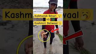 Kalkharab Bihari vs kashmiri Behwaal 😲 Koshur Jugaad  viral short video  gashe taruk  funny video [upl. by Cadman22]