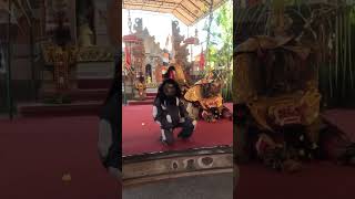 Balinese Barong Dance [upl. by Ylyl]