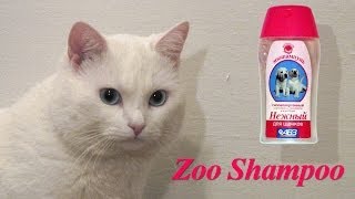 Pet Shampoo Commercial English version [upl. by Nagram]