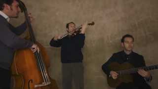 Rares Morarescu Trio  Minor Swing Django Reinhardt Cover [upl. by Seuqram]