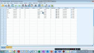 Two Way Multivariate ANOVA by SPSS For agricultural experiments [upl. by Eidak703]