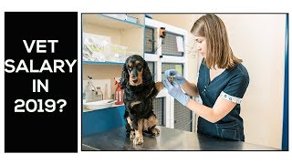 Veterinarian Salary in USA 2019 [upl. by Duwalt]