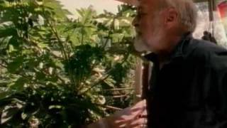 Global Gardener  Permaculture with Bill Mollison Bullfrog Films clip [upl. by Tarkany394]