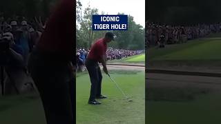 Tiger Woods final round MASTERY 😱 [upl. by Theresina]