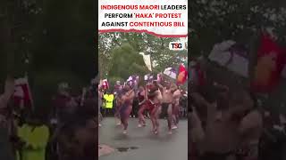 watch  New Zealanders Protest and March Towards Wellington Against Indigenous Treaty Bill shorts [upl. by Vanthe252]