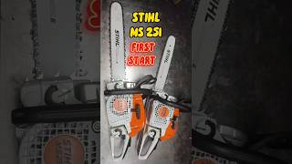 STIHL MS 251 FIRST START stihl [upl. by Wilt144]