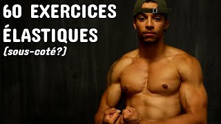 Les 60 MEILLEURS EXERCICES avec des ÉLASTIQUES pour TOUT LE CORPS prendre du muscle sérieusement [upl. by Yllus72]