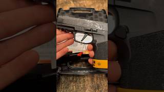 Sig P365 X Macro ASMR [upl. by Ellehcil]