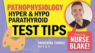 Hypoparathyroidism vs Hyperparathyroidism NCLEX Pathophysiology Endocrine Review with Nurse Blake [upl. by Marcos]