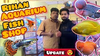 Rihan Aquarium Shop 💥 New Exotic Fish Stock Update 😯 Low Price Guarante ✔️ Thailand Goldfish Delhi📍 [upl. by Richard]