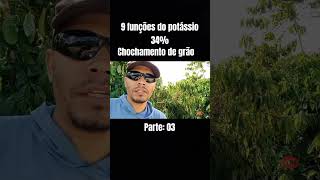 Qual a função do potássio 34 cafeconiloneagro agronomica youtubeshorts agricola shorts [upl. by Ahseki217]