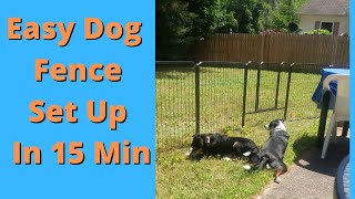 Best Easy Dog Fence 15 Min Install [upl. by Rayford]