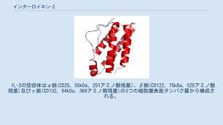 インターロイキン2 [upl. by Naux305]