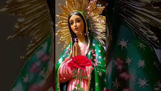 Virgen de Guadalupe llevamos a Jesus elevacióndelevangelio [upl. by Nitsew]