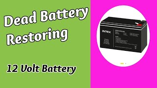 12 Volt Battery RepairUps Battery Restoring [upl. by Estella]