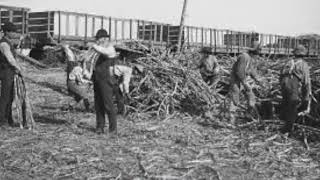 Thibodaux Louisiana Massacre 1887 Massacre thestory blackhistory legacy the learning [upl. by Aihsercal]