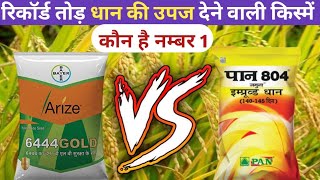 रिकॉर्ड तोड धान की उपज देने वाली किस्में  arize 6444 gold Vs pan 804 jamuna  seed of paddy [upl. by Tenom92]