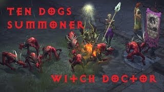 Diablo 3 RoS Beta  Ten Dogs Witch Doctor Summoner Build [upl. by Prendergast819]