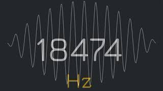 1Hz to 22000Hz frequency generator human audio spectrum suara pembersih speaker hp [upl. by Assecnirp]