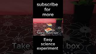 Science Experiment at Home🔥❤️‍🔥💥 shorts viralvideo science scitester [upl. by Mack863]