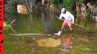 Catching FISH SWIMMING in FLOODED BACKYARD [upl. by Annasor545]