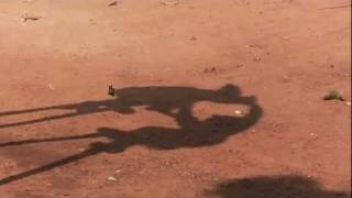 Togo Travel memories stilt dancers Tchébé tradition [upl. by Delmar28]