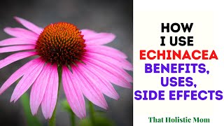 How I Use Echinacea [upl. by Ringler]