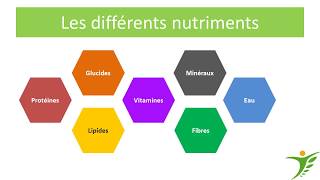 Protéines glucides et lipides [upl. by Nabatse]