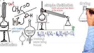 Esters 4 Organic Preparation amp Purification of an Ester [upl. by Attelrahc103]