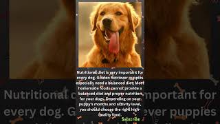 I Raised a Golden Retriever on THIS Diet and Got SHOCKING Results [upl. by Ayanet202]