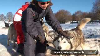 Djuringa Juniors Neige et Traineaux colonie de vacance enfant mp4 [upl. by Slorac311]