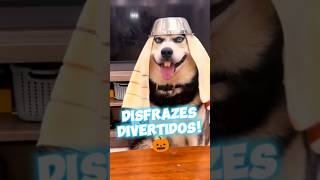 Disfrazes divertidos halloween 🇲🇽 🎃 humor funny comedia comedyshorts shortsviral viralshort [upl. by Elletnahs977]