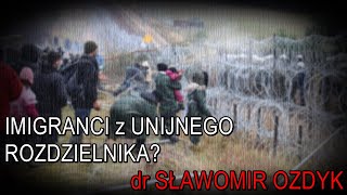 Dr Sławomir Ozdyk o imigrantach z unijnego rozdzielnika 25052024 [upl. by Aynotahs]