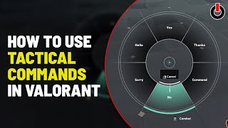 Valorant What Is Tactical Callout And How To Use It Everything you Need to Know [upl. by Anad]