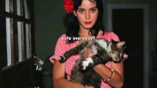 Vote For Kitty Purry [upl. by Gerk]