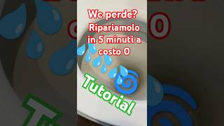 Wc perde come ripararlo [upl. by Lapham]