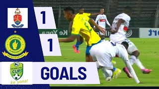 Amatuks vs Mamelodi Sundowns  Nedbank cup highlights  Goals [upl. by Silvanus]