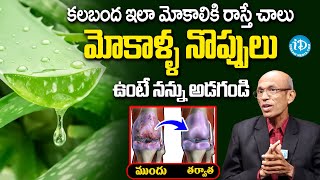 ఇది రాస్తే చాలు లేచి పరిగెడతారు  Knee Pain Relief Oil  Dr Madhusudhan  iDream Health Talks [upl. by Kleiman]