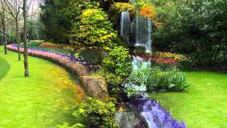 Vozes da Primaveravalsa de Johann Strauss Jr  wmv [upl. by Ahsienyt489]