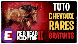 TUTO CHEVAL RARE GRATUIT TOUTES RACES AU CHOIX  RED DEAD REDEMPTION 2 Lire la description avant [upl. by Imim]